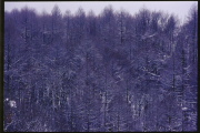 photo01 ~̗֒