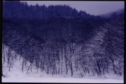 photo02 ~̗֒