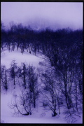 photo04 ~̗֒
