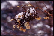 photo05 ~̗֒