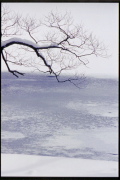 photo08 ~̗֒