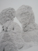 photo01 ̎X