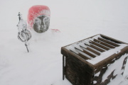 photo02 ̎X