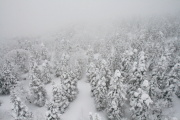 photo04 ̎X