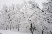 photo09 ̎X