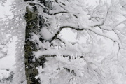 photo14 ̎X