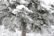 photo15 ̎X
