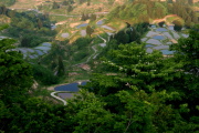 09 Ic