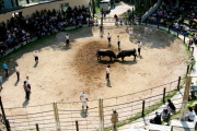 01 RÎu