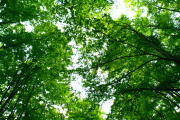 04 l