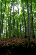 05 l