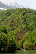 02 
