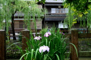 02 